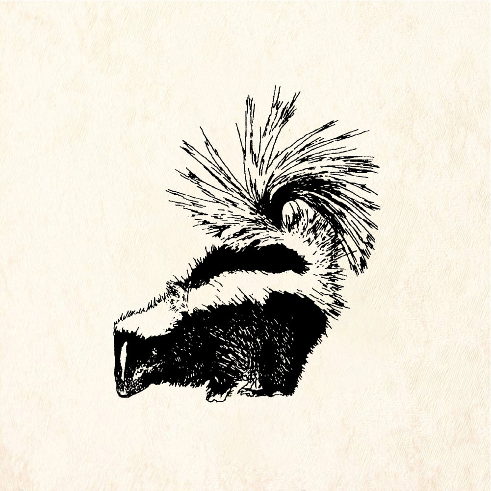 StampaFe Skunk - Rubber Stamp 1.5 x 1.25