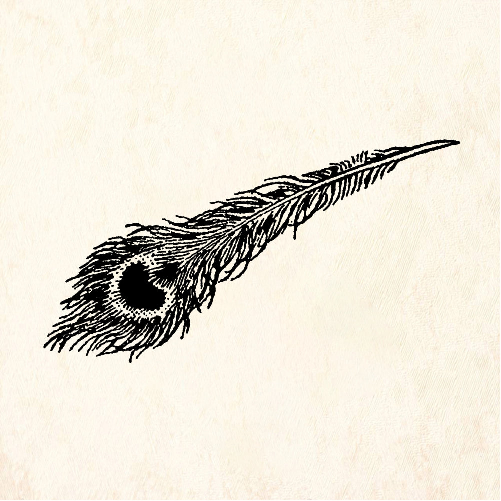 StampaFe Peacock feather - Rubber Stamp 2.25 x 1