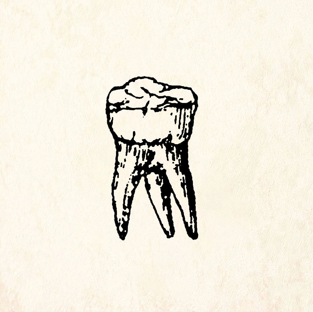 StampaFe Molar Tooth - Rubber Stamp 0.75 x 0.75