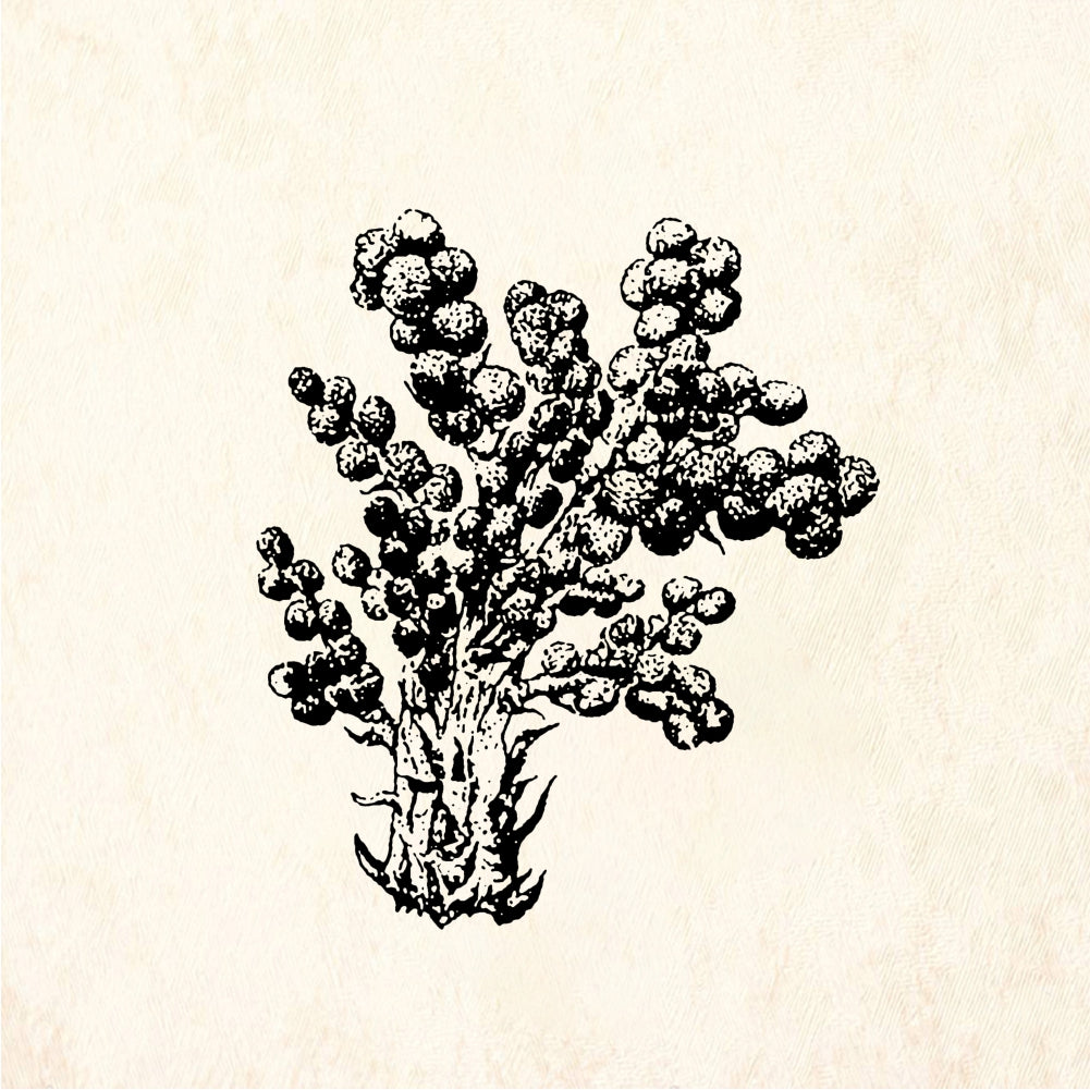StampaFe Tree of good - Rubber Stamp 1.75 x 1.75