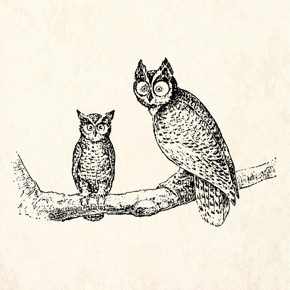 StampaFe StampaFe Pair of Owls on a Branch Rubber Stamp 2.5 x 1.5