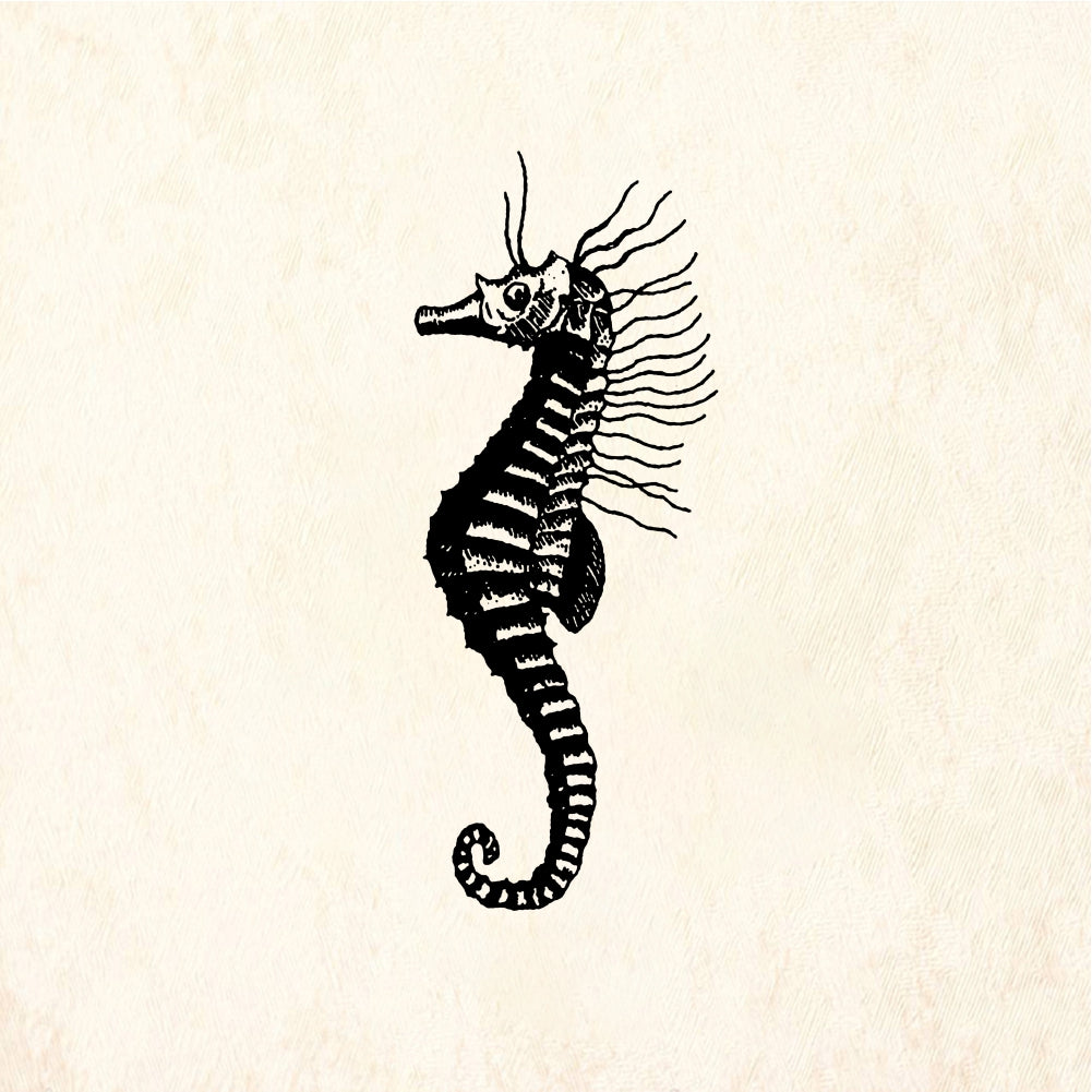StampaFe Seahorse - Rubber Stamp 1 x 1.25