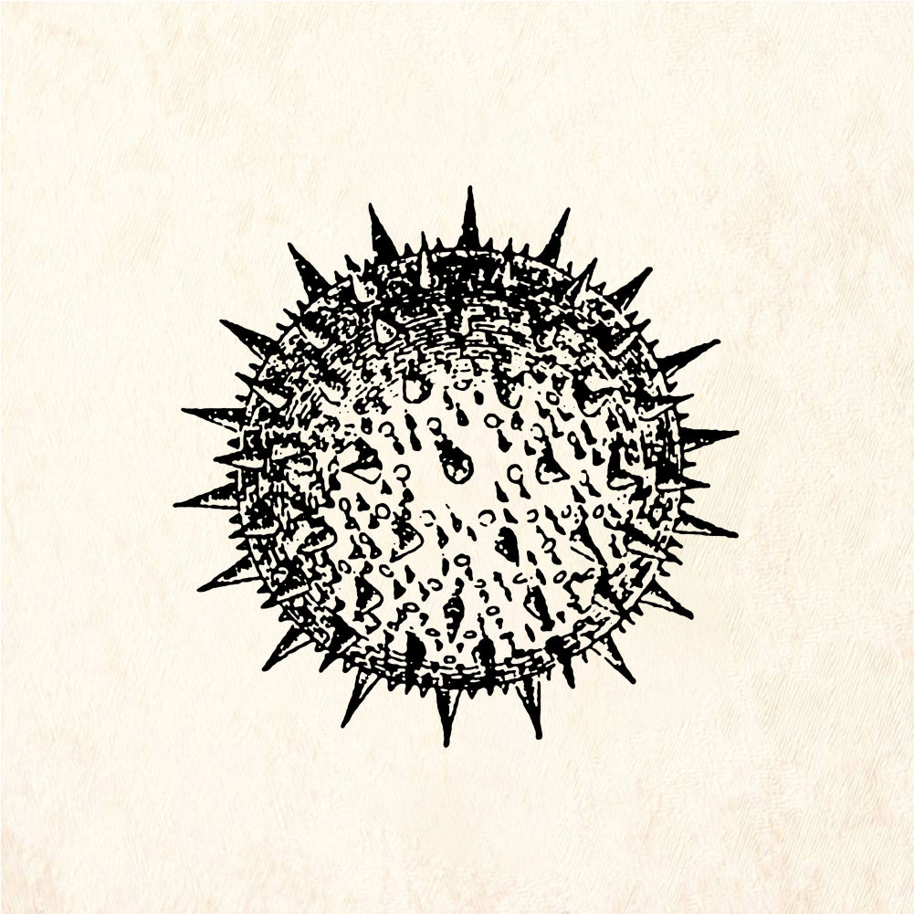 StampaFe Spore Burst - Rubber Stamp 1.75 x 1.5