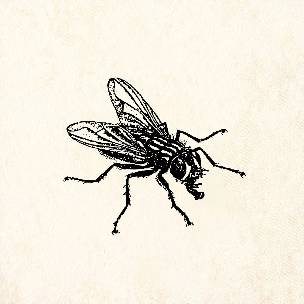 StampaFe House fly - Rubber Stamp 1.25 x 1.25