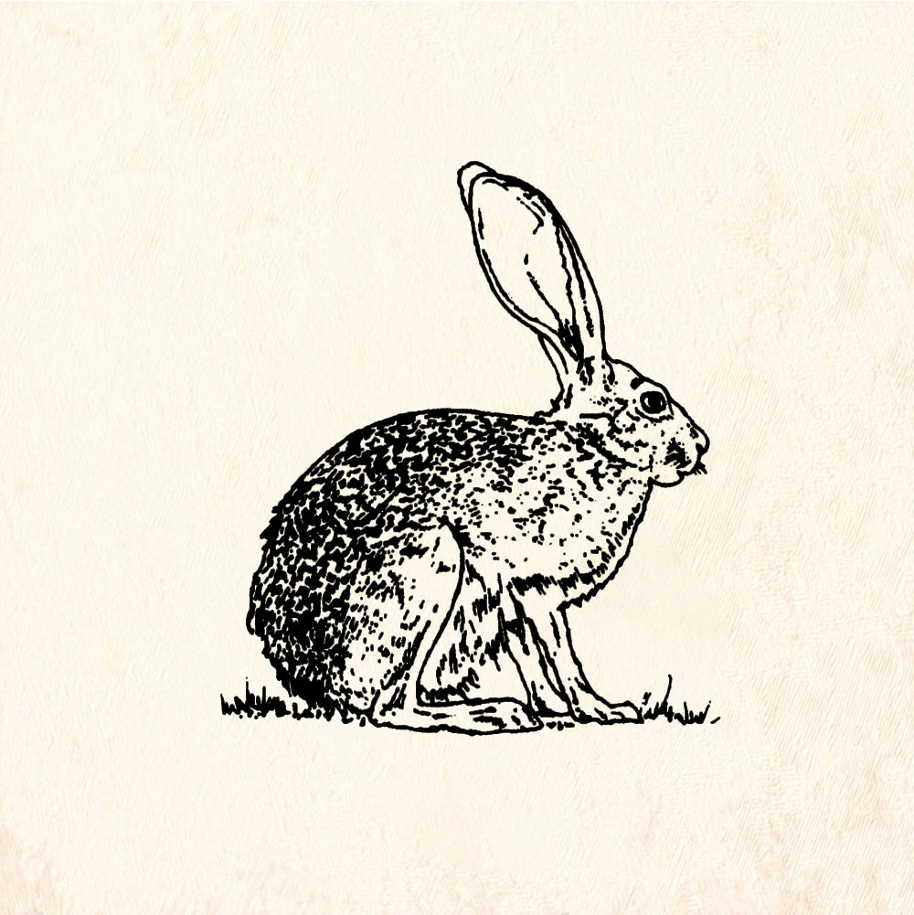 StampaFe Jack Rabbit - Rubber Stamp 2 x 2