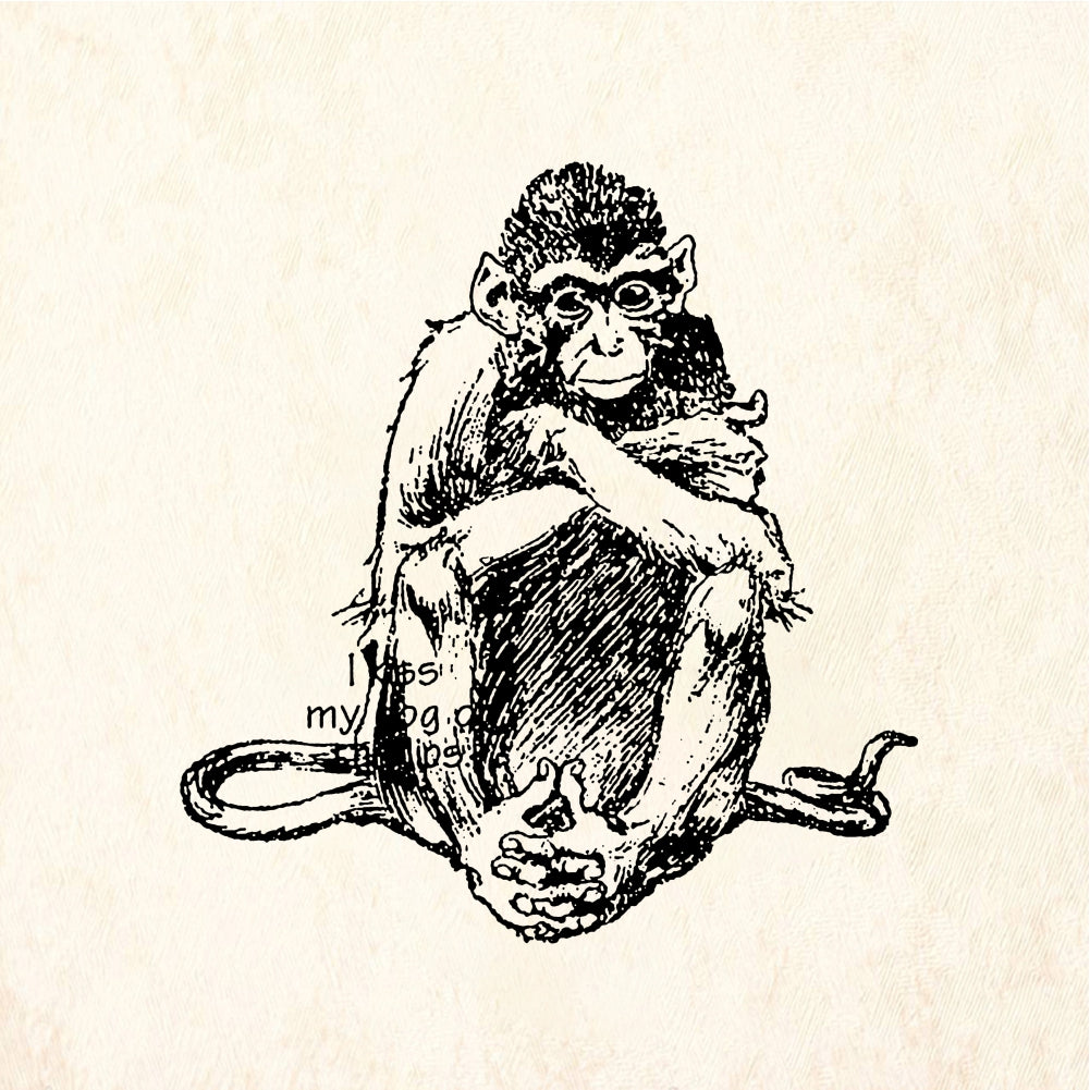 StampaFe Thinking monkey - Rubber Stamp 1 x 1.5