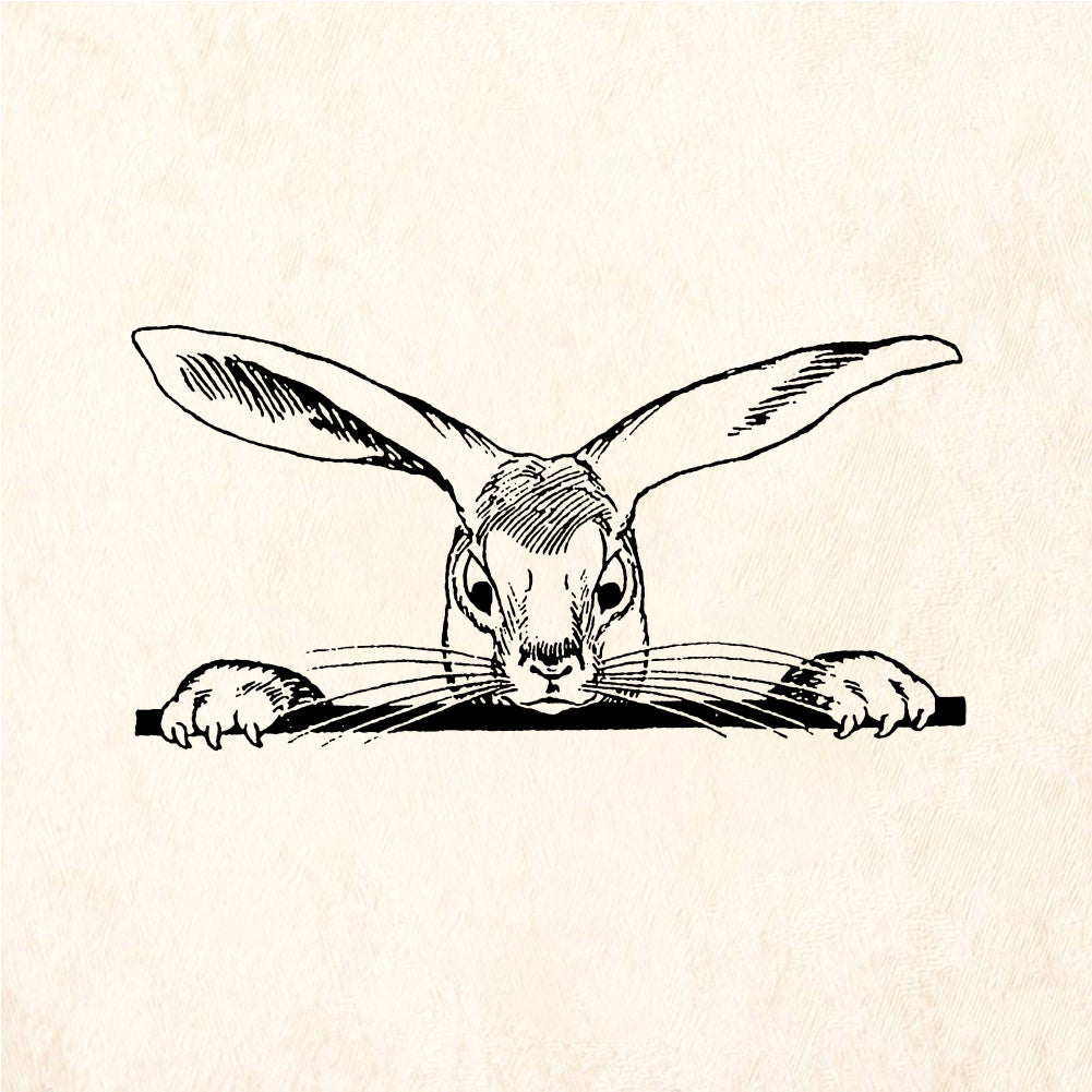 StampaFe On the edge bunny - Rubber Stamp 2.75 x 2