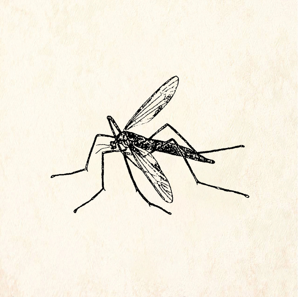 StampaFe Mosquito - Rubber Stamp 1.75 x 0.75