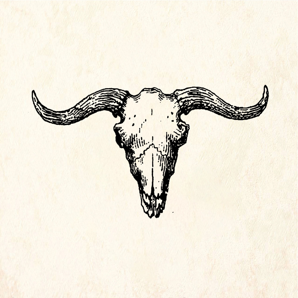 StampaFe Longhorn Ox Skull Rubber Art Stamp
