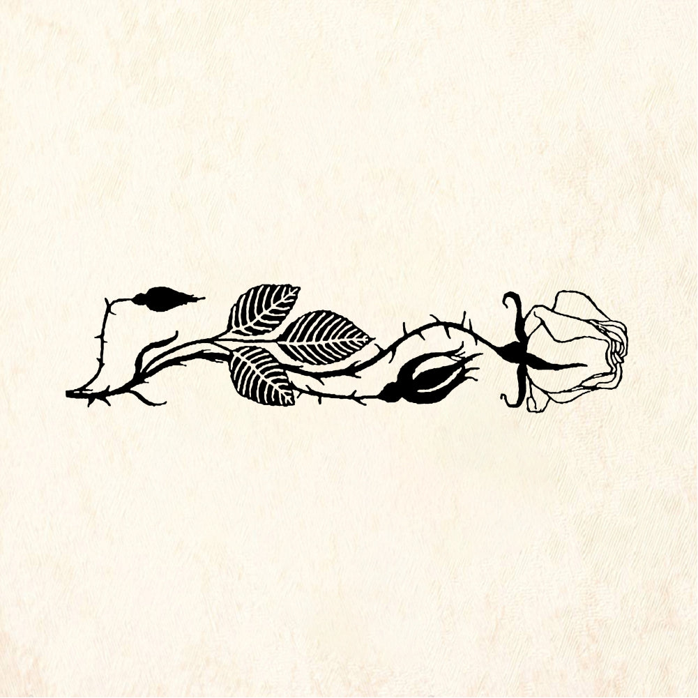 StampaFe Rose border - Rubber Stamp 4.25 x 1