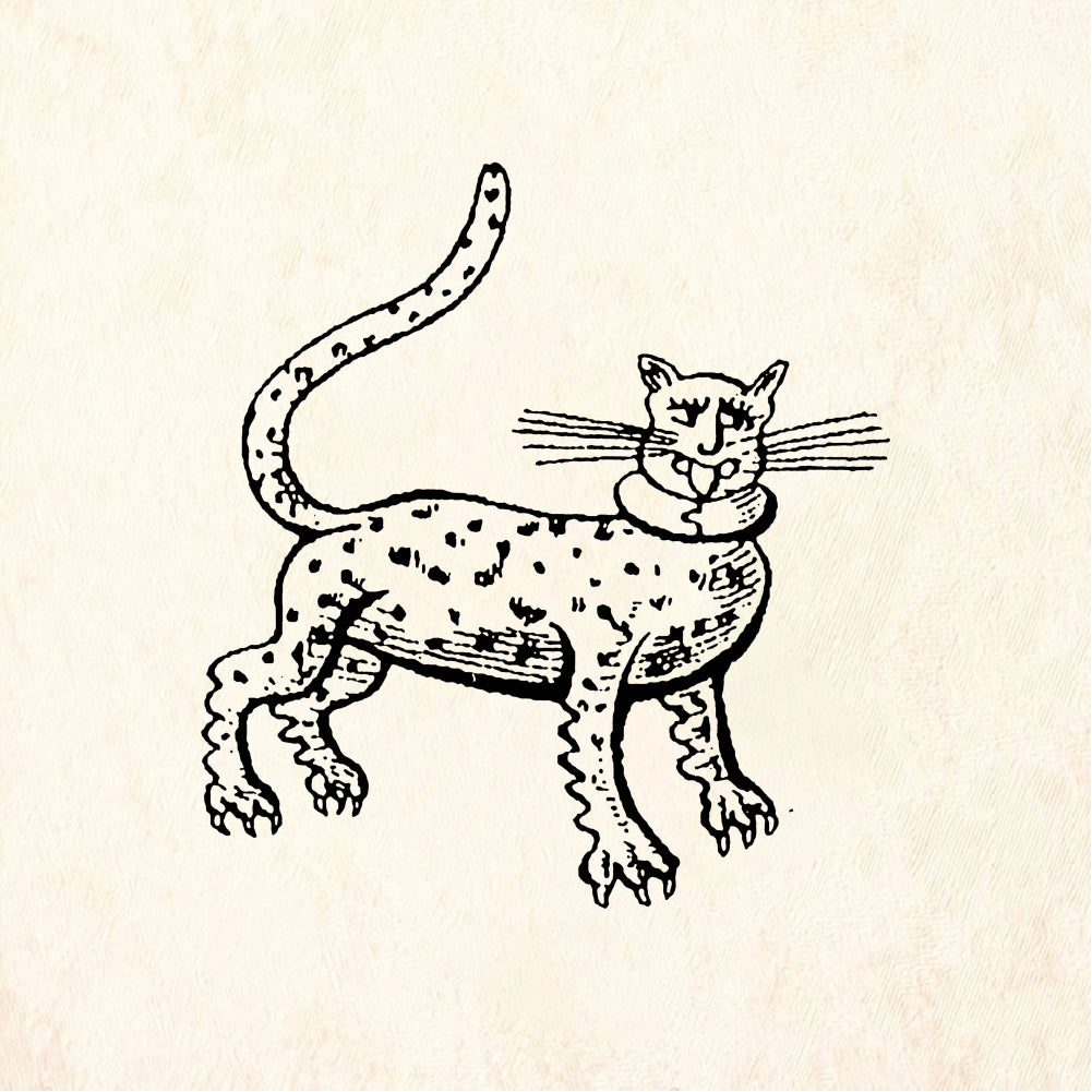 StampaFe Leopard - Rubber Stamp 1.25 x 1