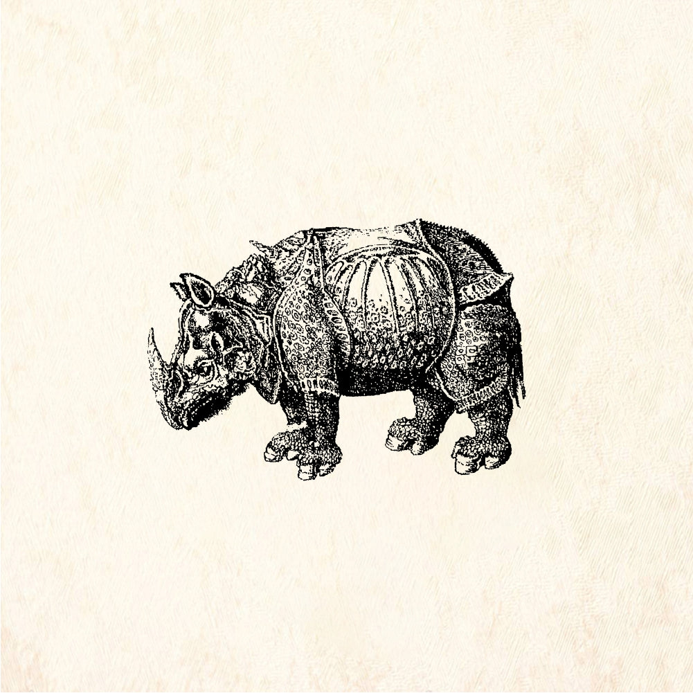 StampaFe Rhino Rhinoceros - Rubber Stamp 3 x 1.75