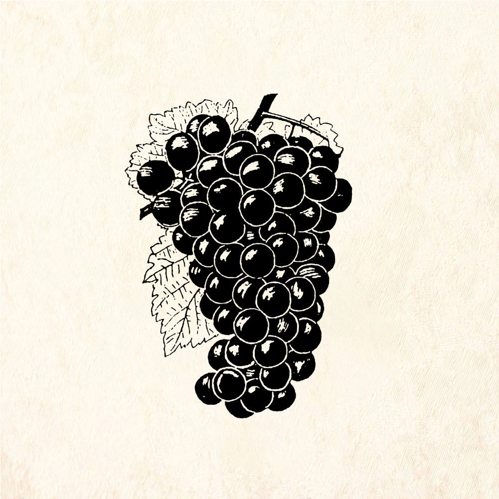 StampaFe Grapes Cluster of Grapes - Rubber Stamp 1.75 x 2