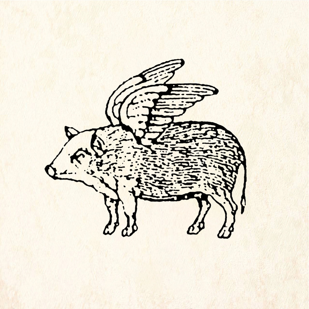 StampaFe Flying pig - Rubber Stamp 1.5 x 1