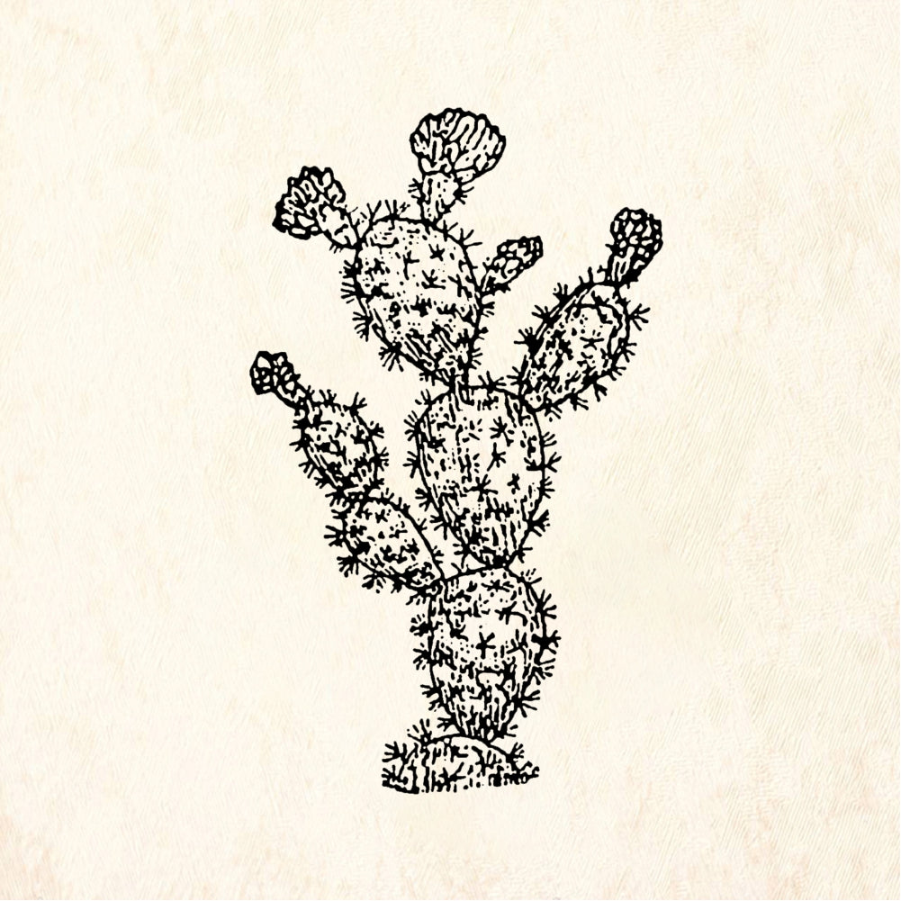 StampaFe Little Prickly Pear Cactus Rubber Art Stamp