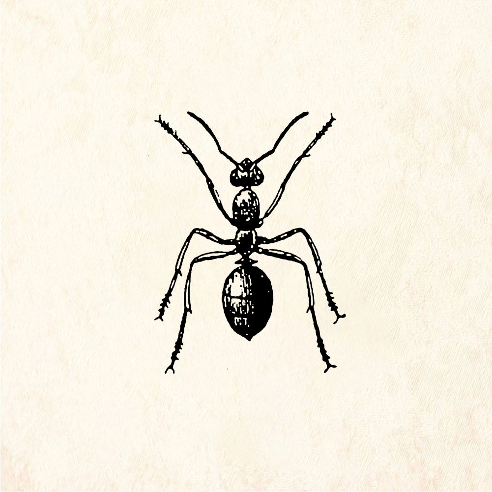 StampaFe Red ant - Rubber Stamp 0.75 x 0.75
