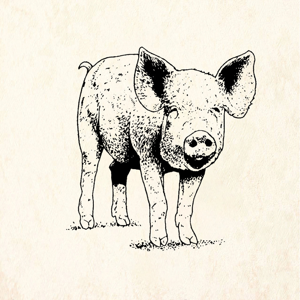 StampaFe Piglet - Rubber Stamp 1.5 x 0.75