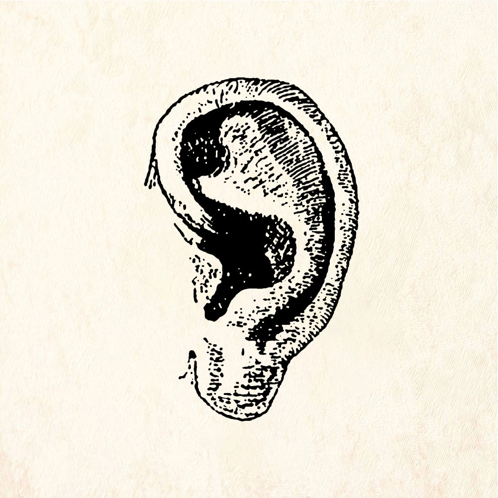 StampaFe Ear, right Ear - Rubber Stamp 1 x 0.75