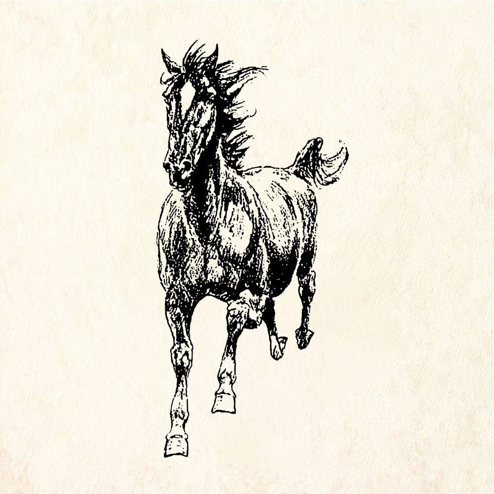 StampaFe Galloping horse - Rubber Stamp 1.75 x 1.75