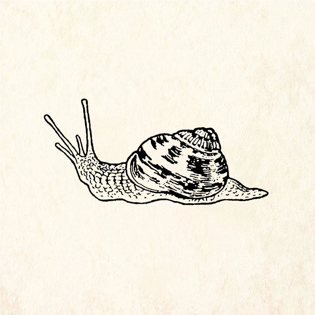 StampaFe Snail - Rubber Stamp 1 x 0.75