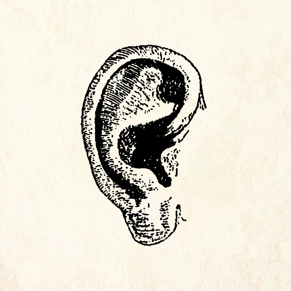 StampaFe Ear, left Ear - Rubber Stamp 1 x 1