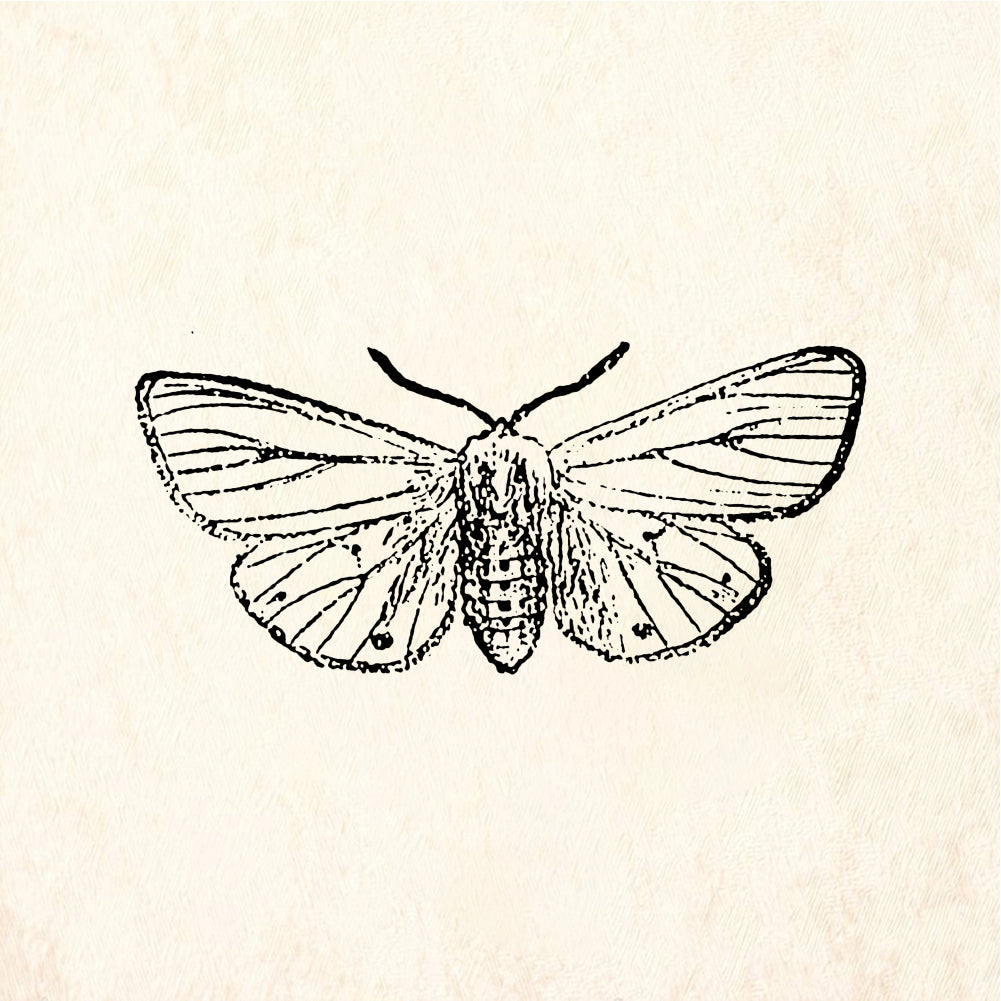 StampaFe Moth - Rubber Stamp 1 x 0.75