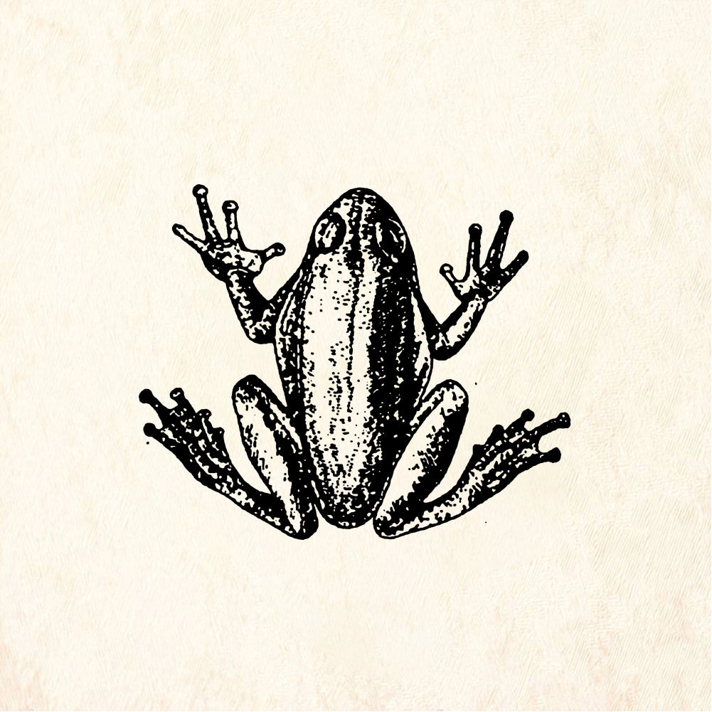 StampaFe Tree frog - Rubber Stamp 1.25 x 1.25