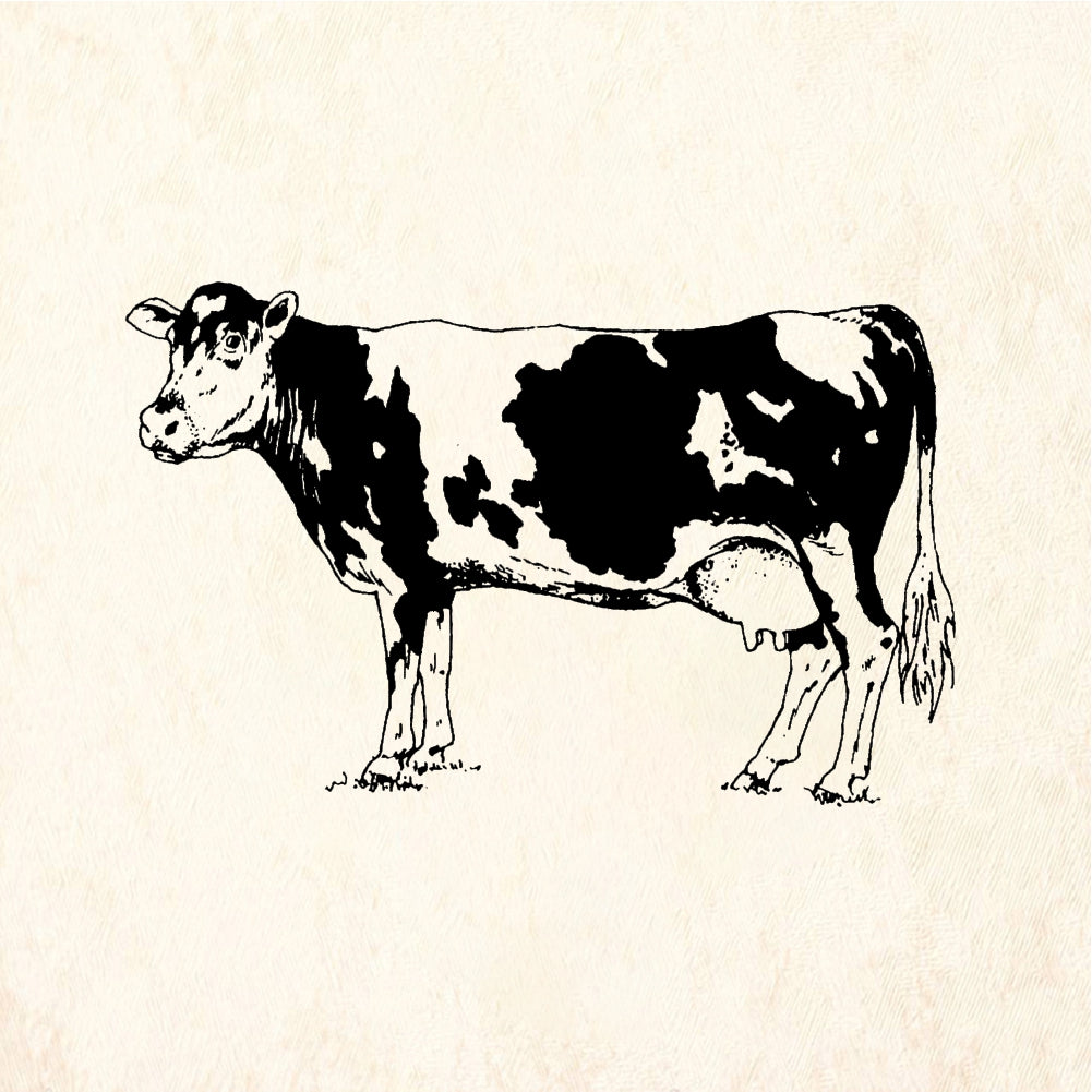 StampaFe Dairy Cow - Rubber Stamp 1.75 x 1.5