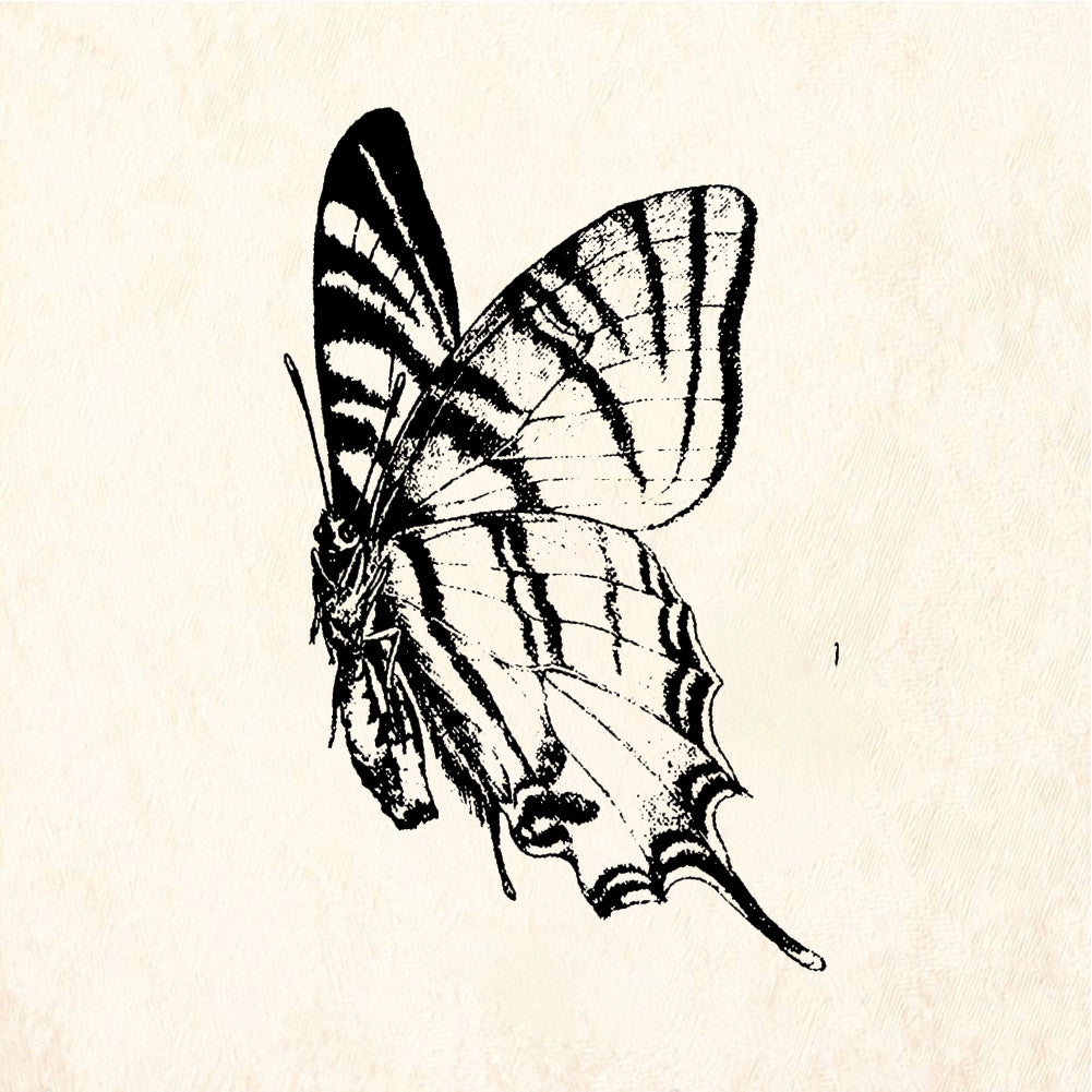 StampaFe Swallowtail Butterfly - Rubber Stamp 1.5 x 1.75