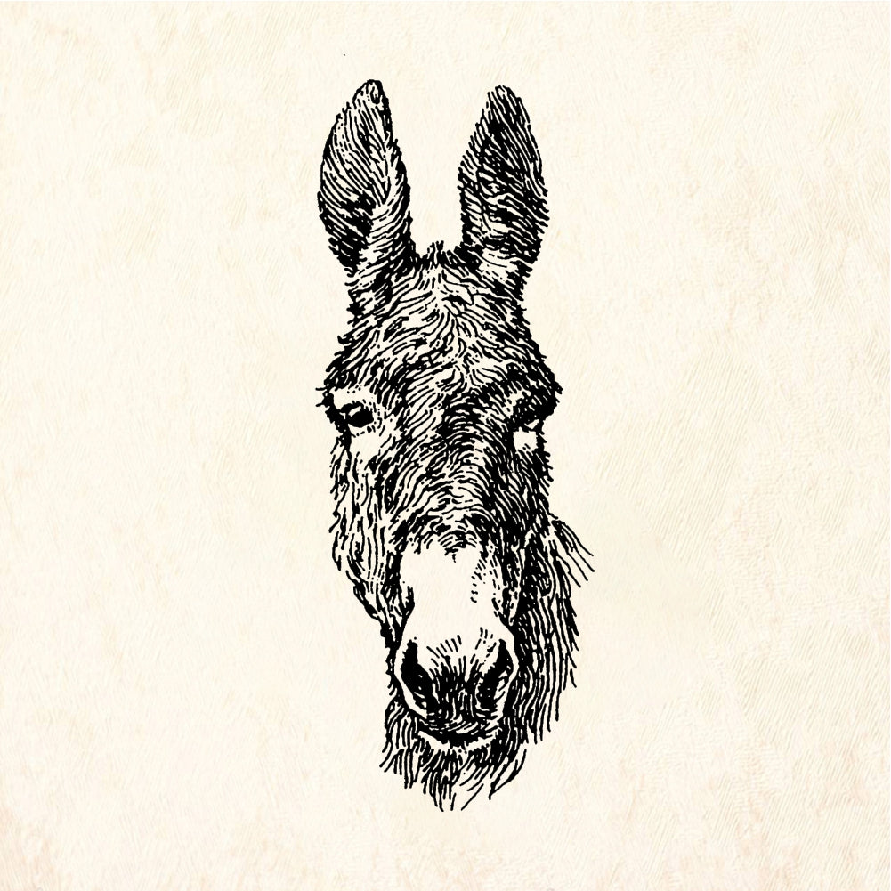 StampaFe Donkey Head - Rubber Stamp 1.5 x 1.5