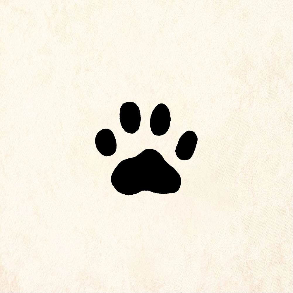 StampaFe Cat paw print, sm. Small Cat Paw - Rubber Stamp 0.75 x 0.75