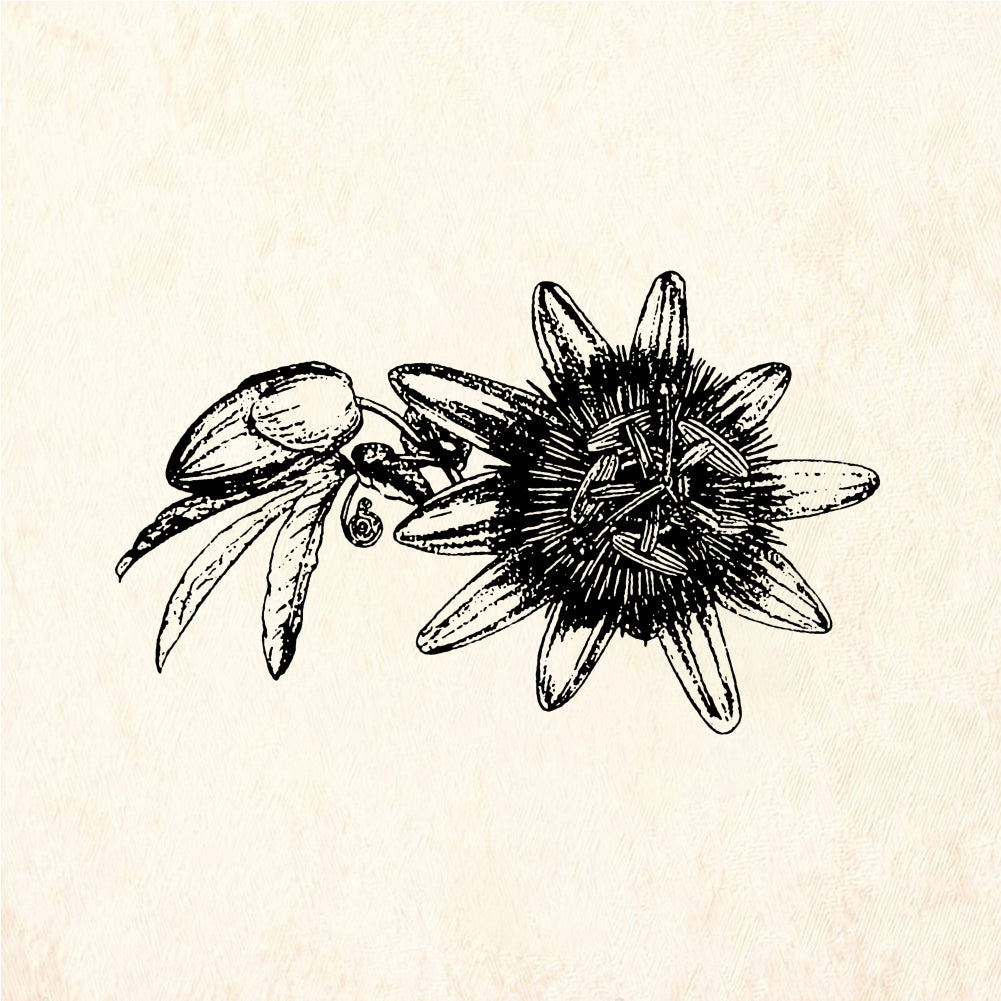 StampaFe Passion flower - Rubber Stamp 1.75 x 1.5