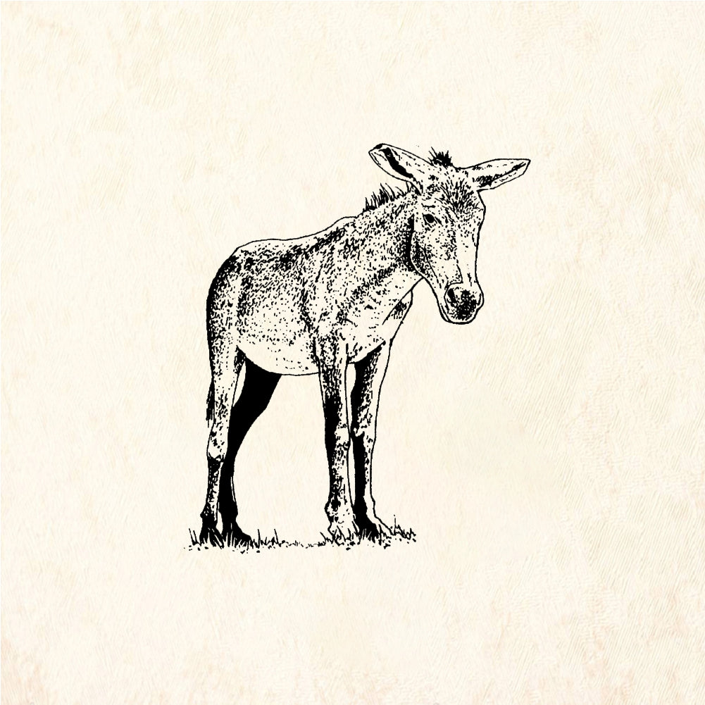 StampaFe Donkey Detailed Donkey Animal - Rubber Stamp 1.75 x 2