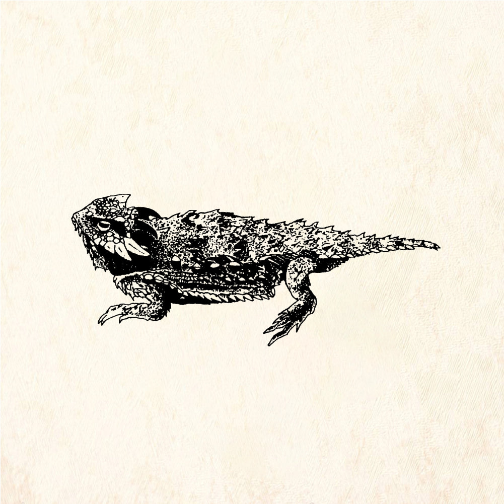 StampaFe Horned Toad Side View - Rubber Stamp 2.25 x 1