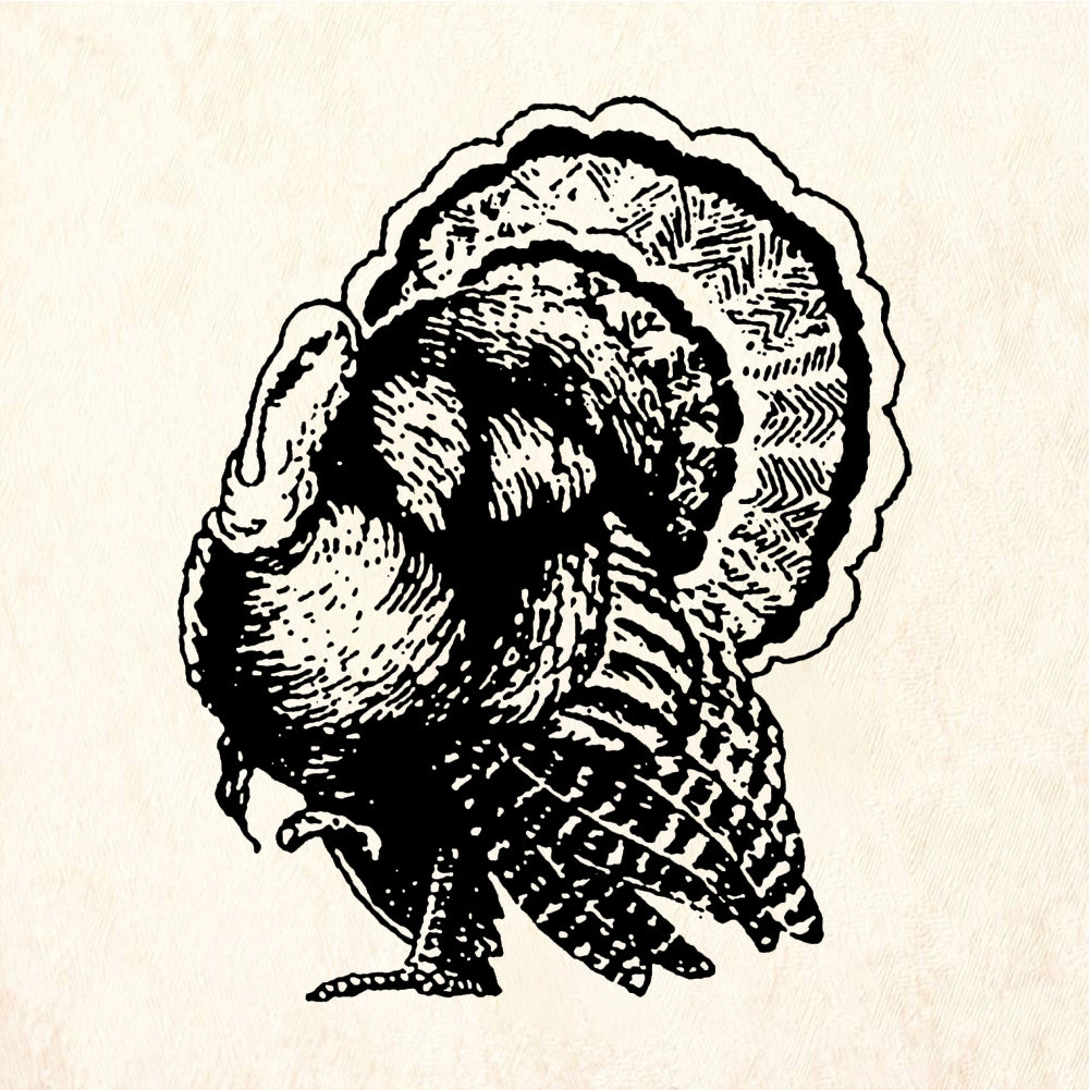 StampaFe Turkey Bird - Rubber Stamp 1.25 x 1.25