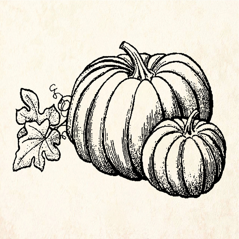 StampaFe Pair of Pumpkins Halloween Rubber Art Stamp