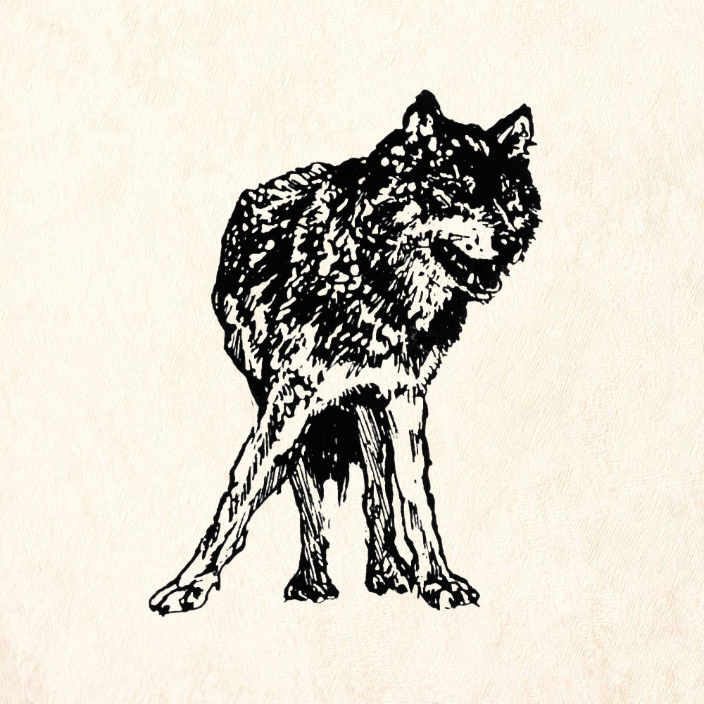 StampaFe Lobos Lookout Wolf Mixed Media Rubber Art Stamp