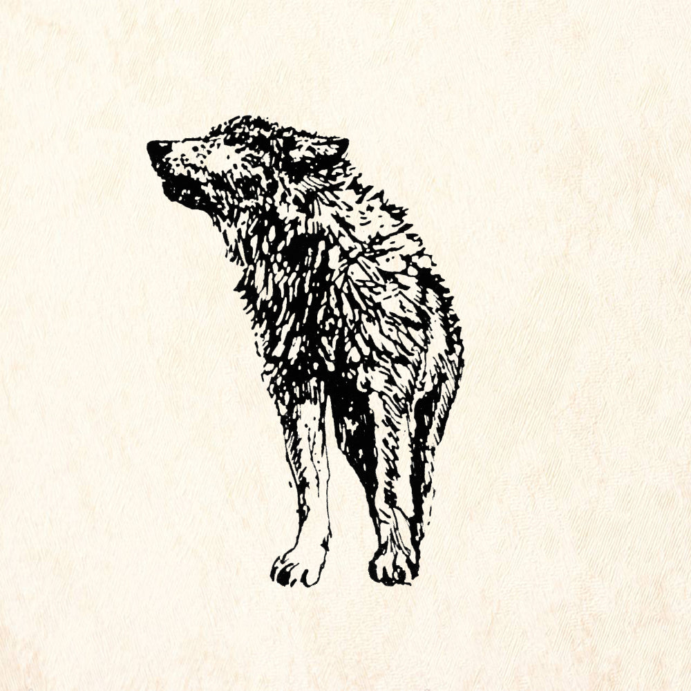 StampaFe Young Timber Wolf Large Mixed Media Rubber Art Stamp