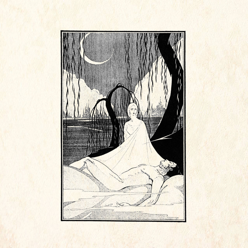 StampaFe Willow Repose Botanical Rubber Art Stamp
