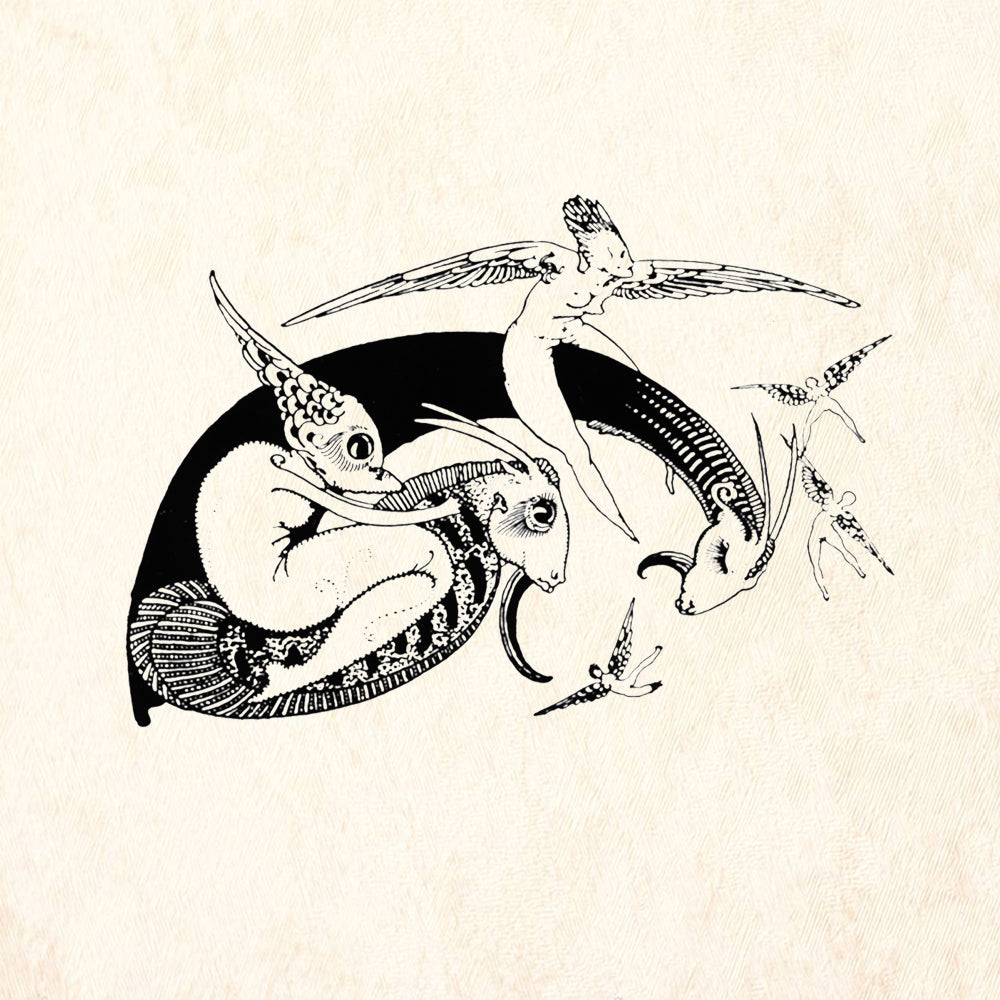 StampaFe Faerie Flight Mixed Media Rubber Art Stamp