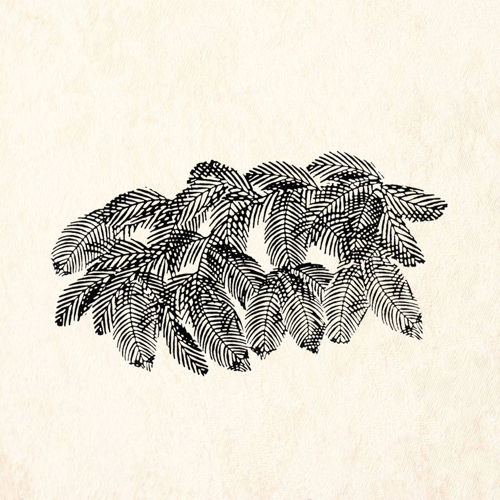 StampaFe Evergreen Bough Botanical Rubber Art Stamp