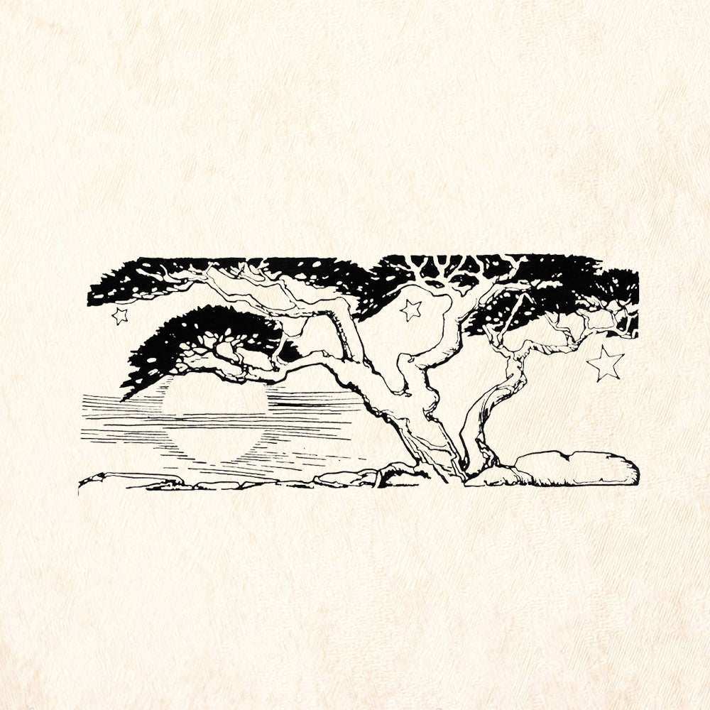 StampaFe Monterey Botanical Rubber Art Stamp