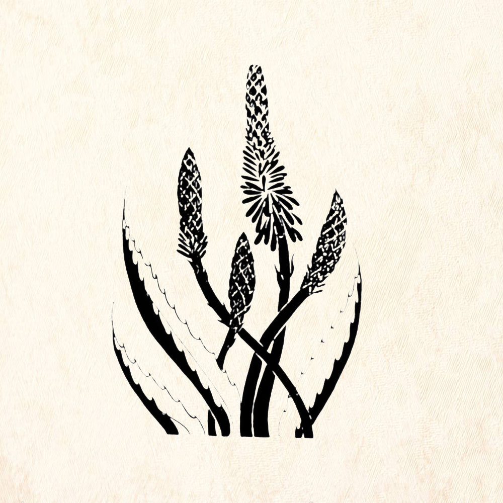 StampaFe Century Plant Botanical Rubber Art Stamp