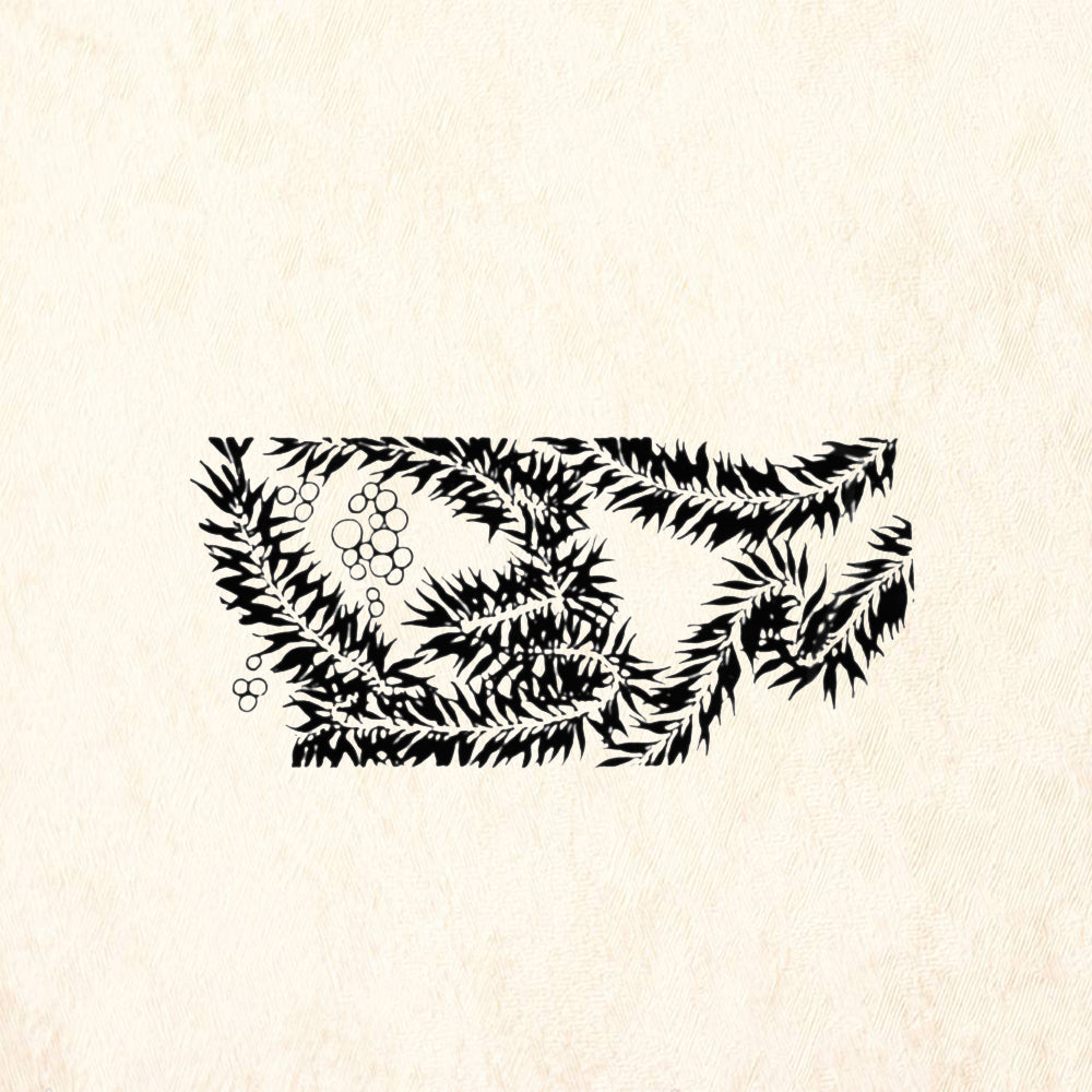 StampaFe Sea Wrack Botanical Rubber Art Stamp