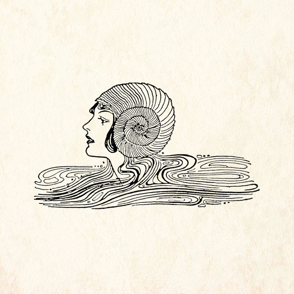 StampaFe Seaswirl Vintage Rubber Art Stamp