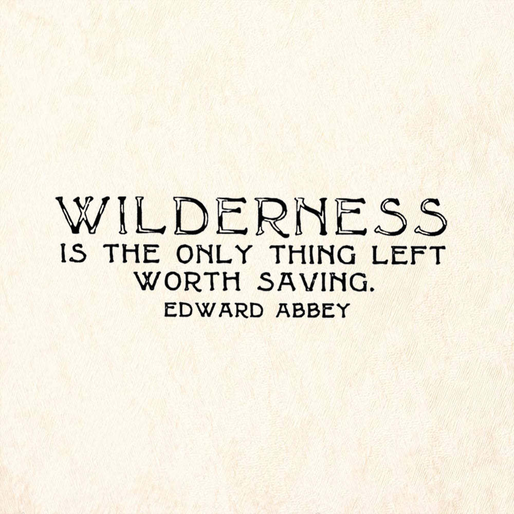 StampaFe Wilderness Only Thing Left Worth Saving Edward Abbey Rubber Art Stamp