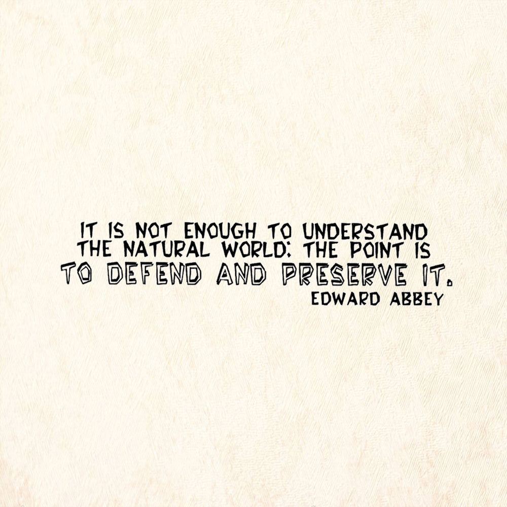 StampaFe To Defend and Preserve It by Edward Abbey Rubber Art Stamp