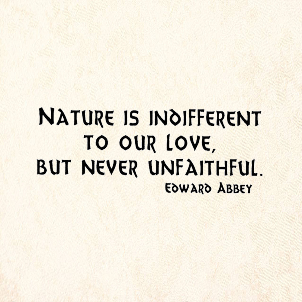 StampaFe Nature Is Indifferent To Our Love But Never Unfaithful Rubber Art Stamp