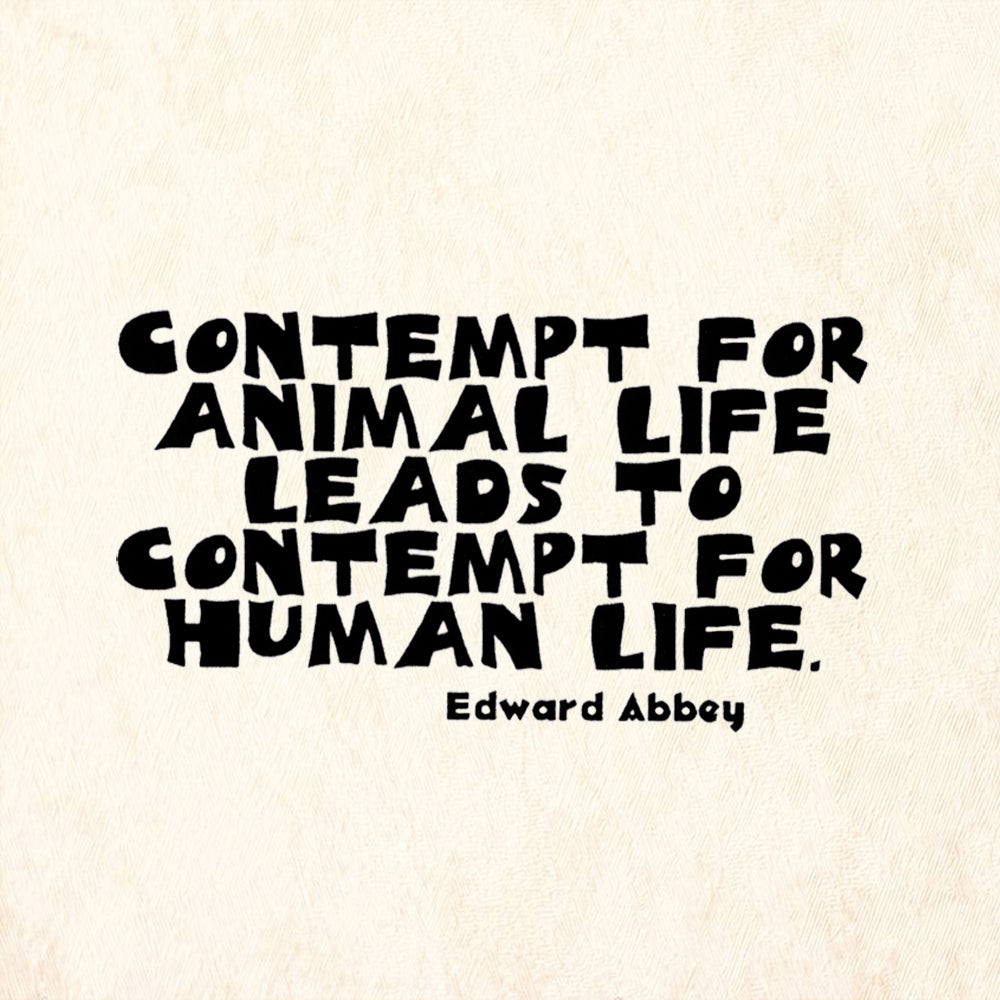 StampaFe Contempt For Animal Life Leads Contempt For Human Life Rubber Art Stamp
