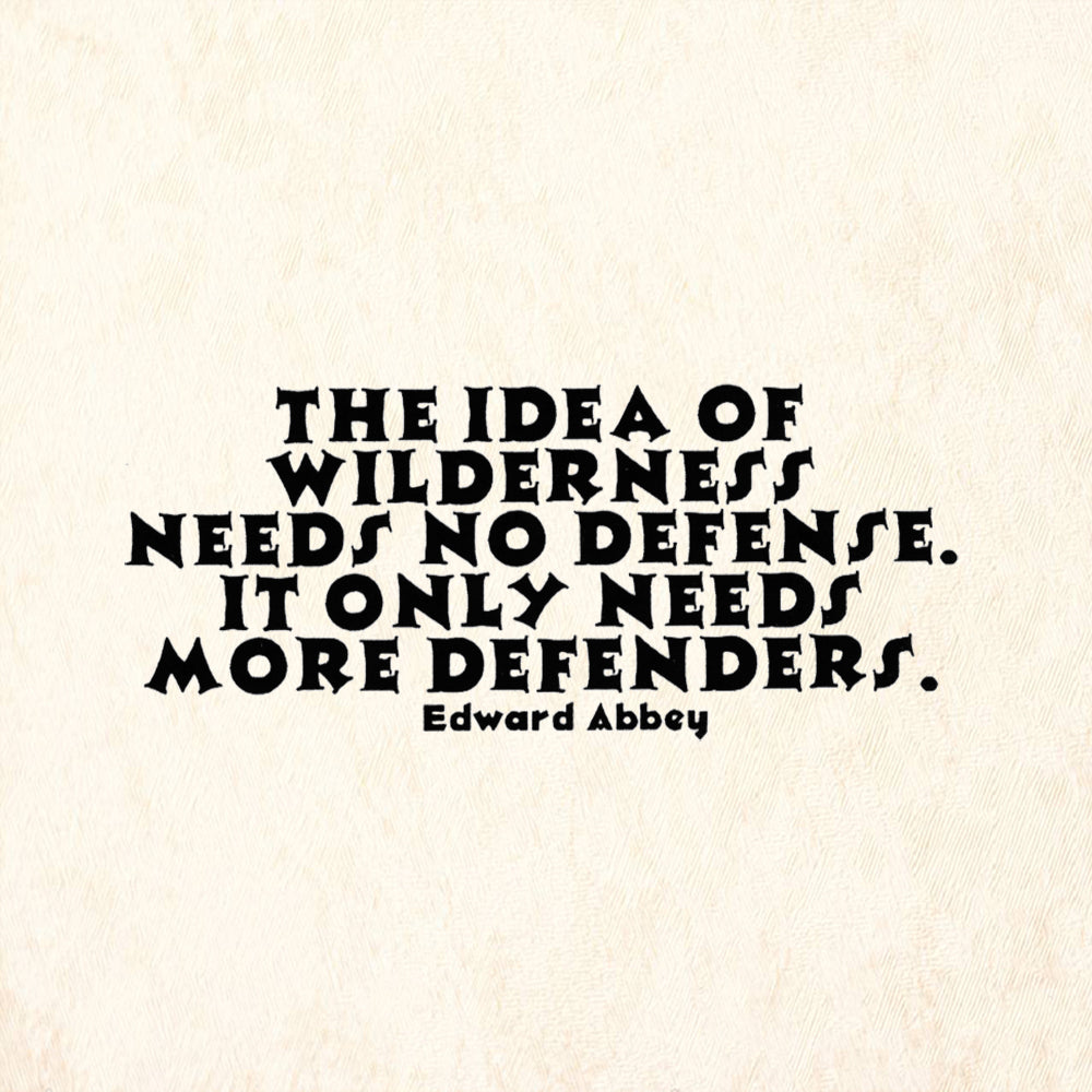 StampaFe The Idea Of Wilderness No Defense Only More Defenders Rubber Art Stamp